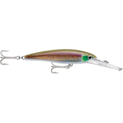 Rapala X-Rap® Magnum® 15 - HD Squid