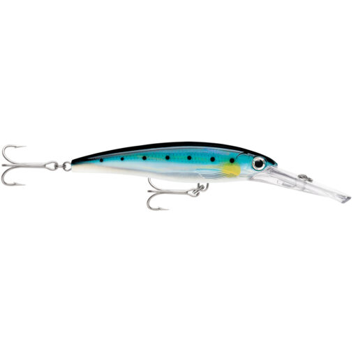 Rapala X-Rap® Magnum® 20 Sardine